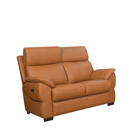 Amano 2 Seater Recliner Sofa, Half Leather - Novena Furniture Singapore