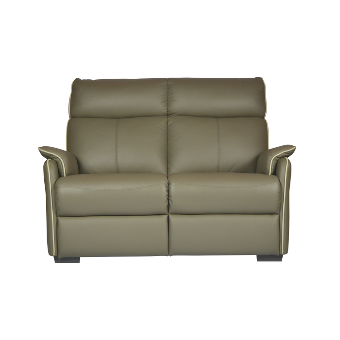 Silas 2 Seater Sofa, Half Leather - Novena Furniture Singapore