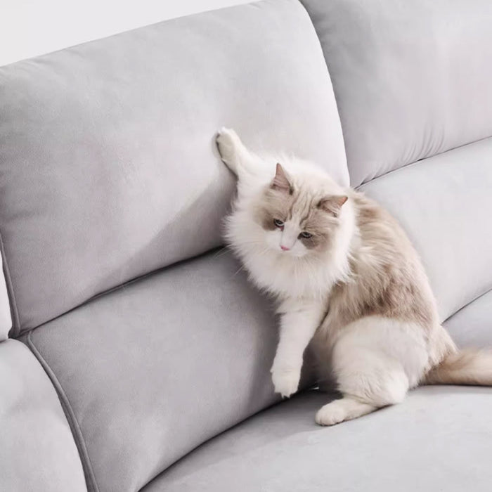 A Pet Parent's Fabric Sofa Cleaning and Maintenance Manual