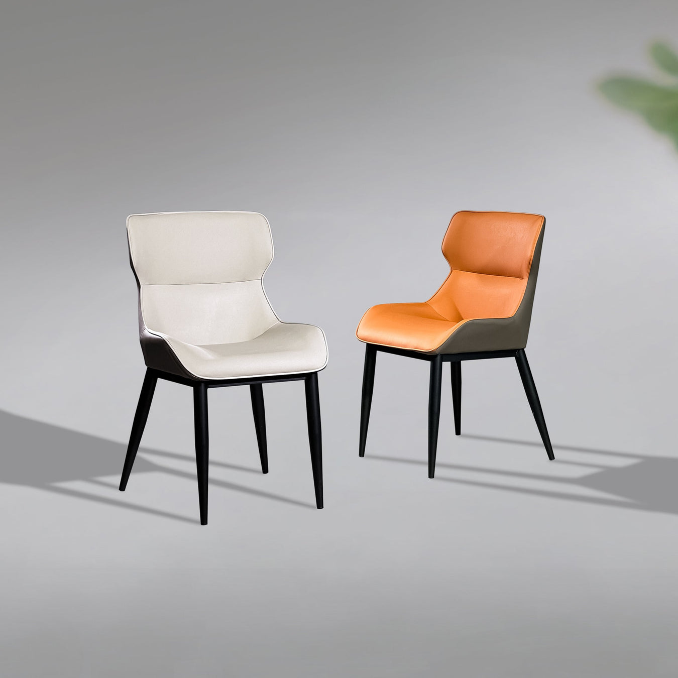 Dining Chairs