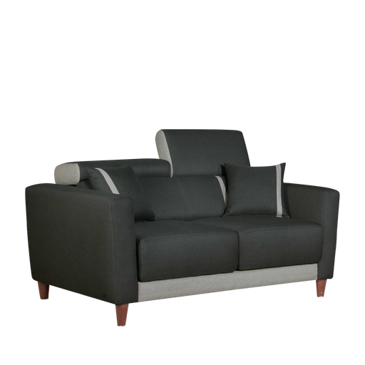 Lilian 2 Seater Sofa, Water Repellent Fabric - Novena Furniture Singapore
