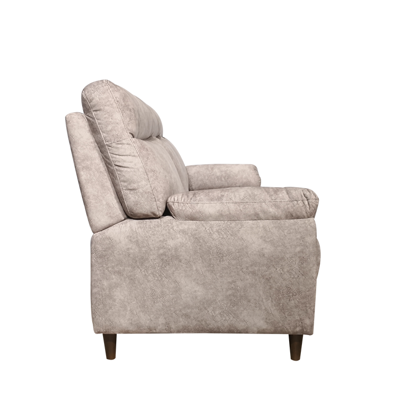 Deanna 2 Seater Sofa, Fabric - Novena Furniture Singapore