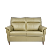 Doma 2 Seater Sofa, Simulated Leather - Novena Furniture Singapore