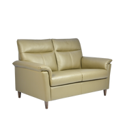 Doma 2 Seater Sofa, Simulated Leather - Novena Furniture Singapore