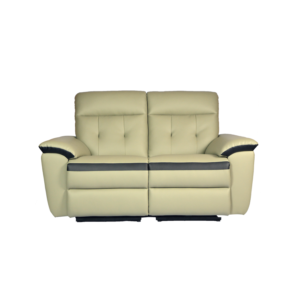 Jadyn 2 Seater Recliner Sofa, Simulated Leather Novena Furniture Singapore