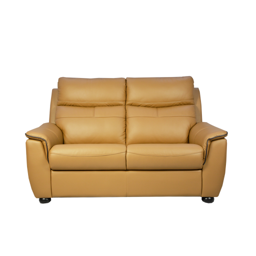 Lucana 2 Seater Sofa, Half Leather - Novena Furniture Singapore