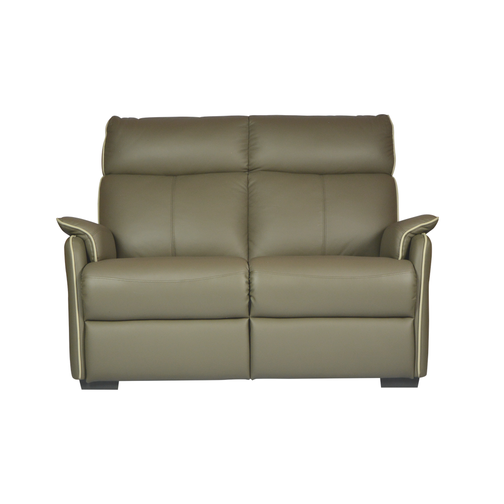2 Seater Sofas Novena Furniture Singapore