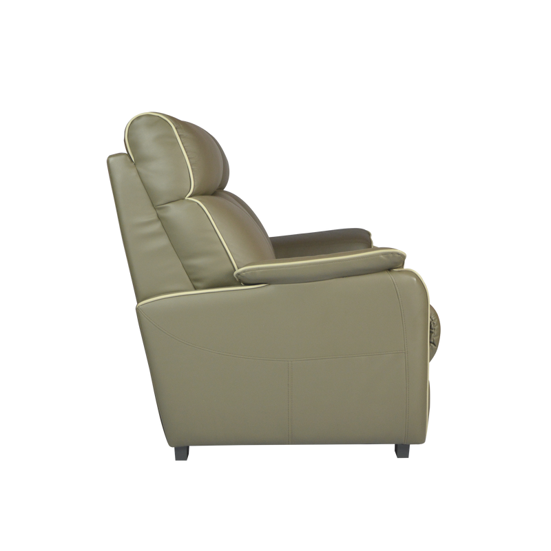 Silas 2 Seater Sofa, Half Leather - Novena Furniture Singapore