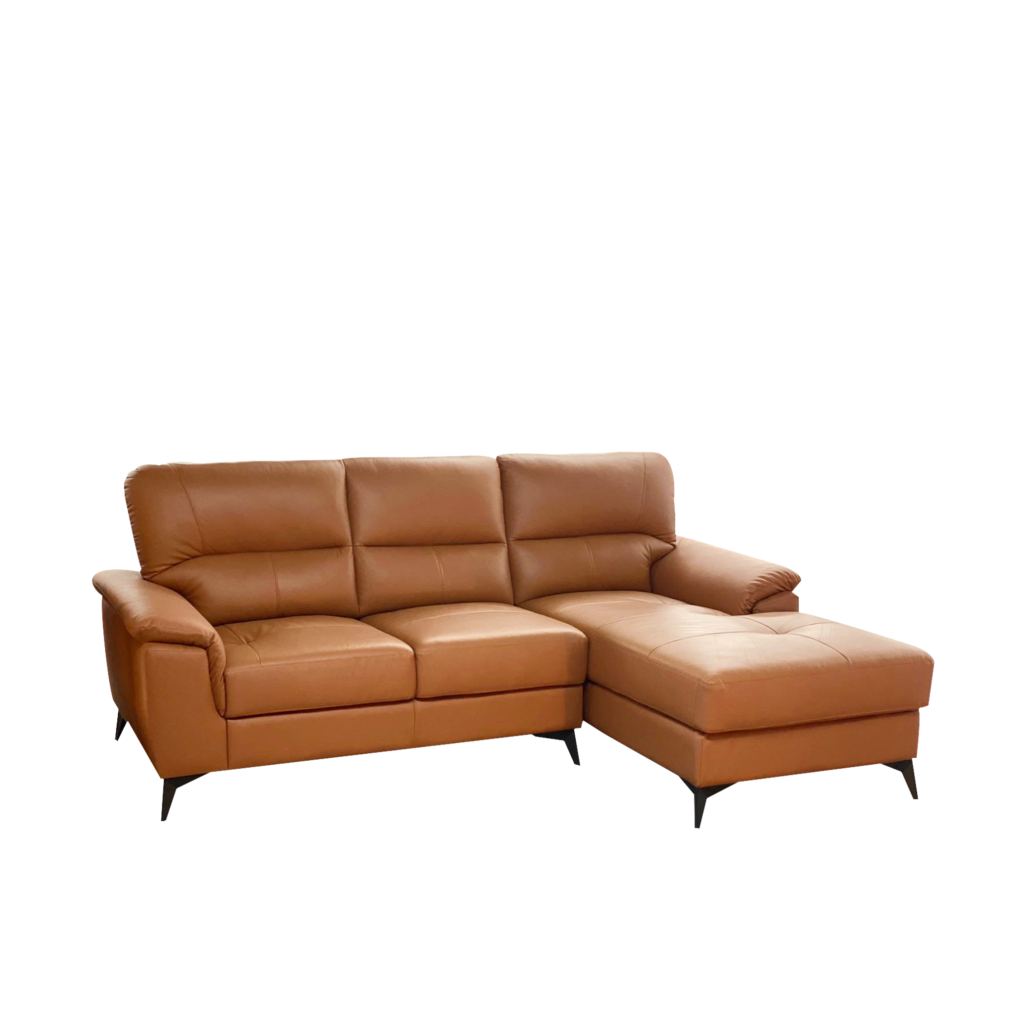 Klaus L Shaped Sofa Half Leather